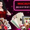 1126bet-Casino trực tuyến – Thế giới của cảm xúc và phần thưởng!