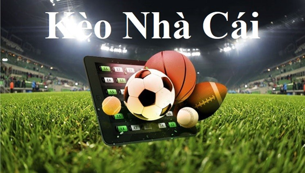 trang cá cược bóng đá hull city afc CF68